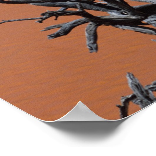 オール動力筏がコロラド川に変わる ポスター (角)