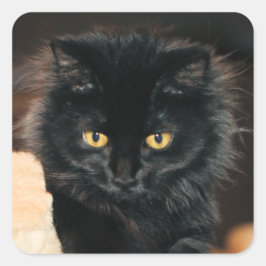 オーレット スクエアシール