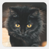 オーレット スクエアシール (正面)