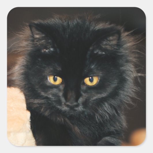 オーレット スクエアシール (正面)