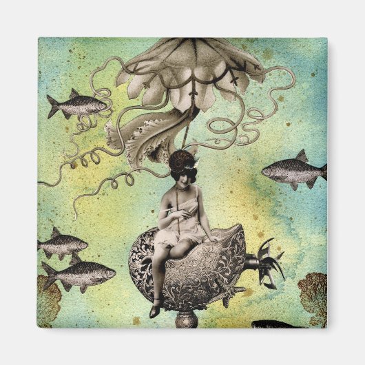 オーレリアと彼女のゼリー巡洋艦 マグネット (正面)