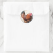 オーレレッドルースター ラウンドシール (バッグ)