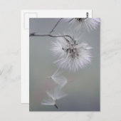 オーレヴォワール秋の花離れ種子のCC0092 ポストカード (正面/裏面)