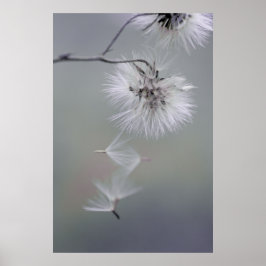 オーレヴォワール秋の花離れ種子のCC0116 ポスター