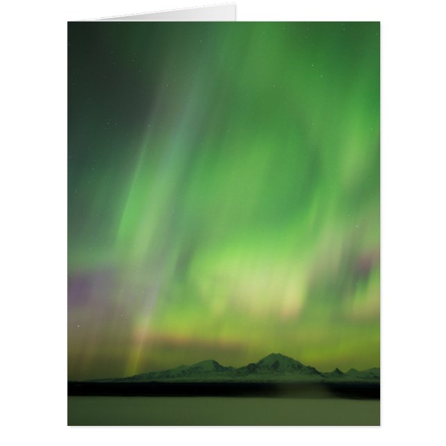 オーロかわいらしラ (正面)