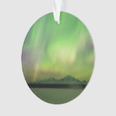 オーロかわいらしラ オーナメント (正面)