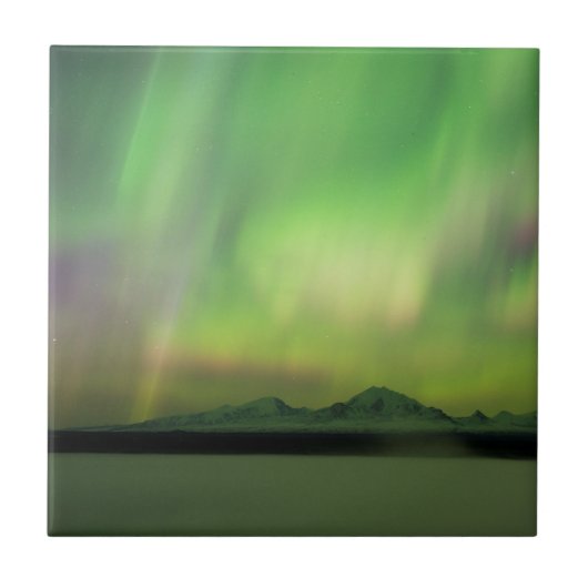 オーロかわいらしラ タイル (正面)