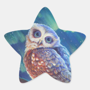 オーロラのフクロウ 星シール