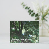 オーロラはがき ポストカード (スタンド正面)