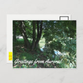 オーロラはがき ポストカード (正面/裏面)