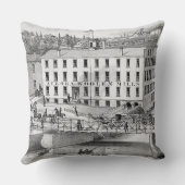 オーロライリノウールミルズ1871キツネリバー クッション (裏面)