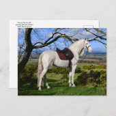 「オーロラオンキツネヒル」ポストカード ポストカード (正面/裏面)