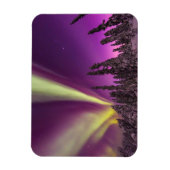 オーロラボレアリスノーザンライツフェアバンクス マグネット (縦)