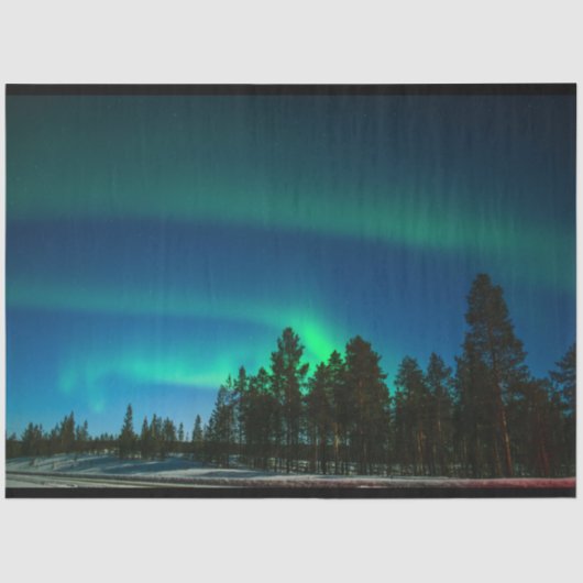 オーロラボレアリスノーザンライツフォレストデクページ 薄葉紙 (正面)