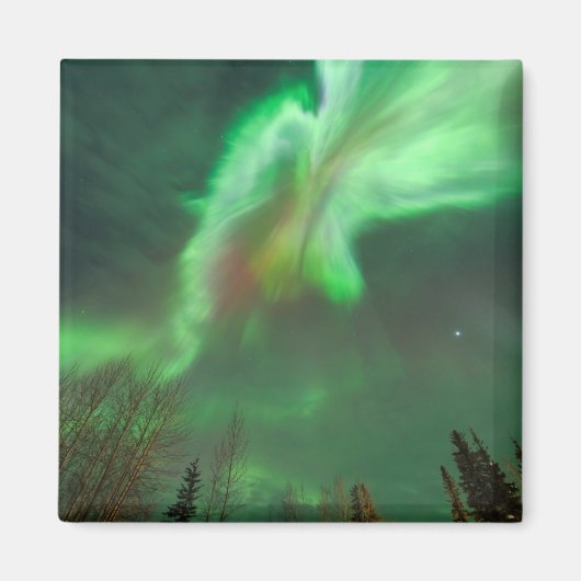 オーロラボレアリスノーザンライト |フェアバンクス マグネット (正面)