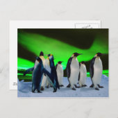オーロラボレアリスペンギン ポストカード (正面/裏面)