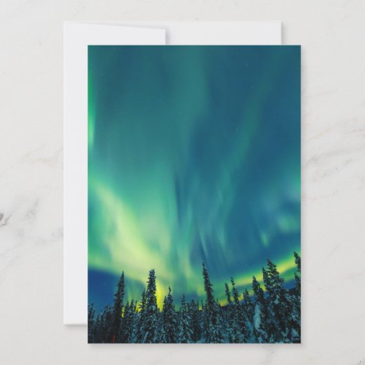 オーロラボレリスノーザンライツブライダルシャワー 招待状 (裏面)