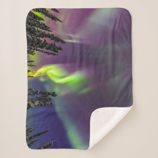オーロラボレリス |アラスカ，フェアバンクス シェルパブランケット (正面)