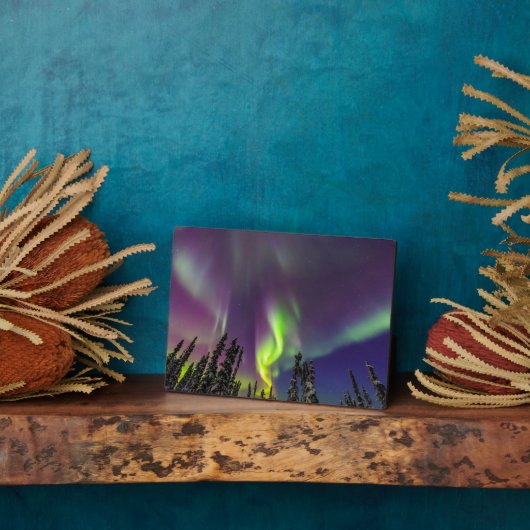 オーロラボレリス |アラスカ,フェアバンクス フォトプラーク (側面)