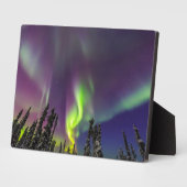 オーロラボレリス |アラスカ,フェアバンクス フォトプラーク (側面)