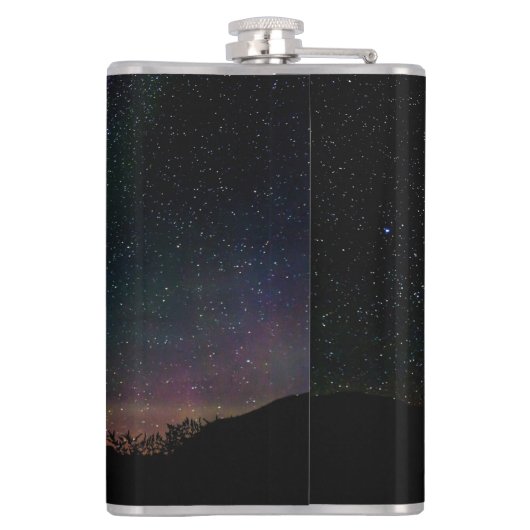 オーロラボレリス フラスク (裏面)