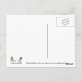 オーロラボレリス ポストカード (裏面)