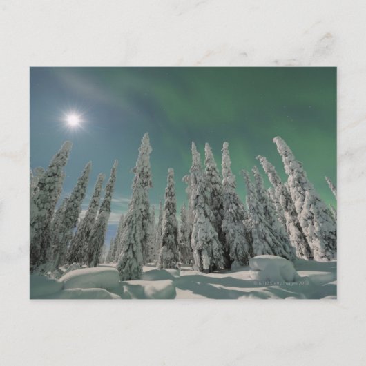 オーロラボレリス ポストカード (正面)