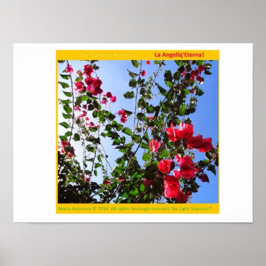 オーロラリアランプのロザリアンクランツ！* ポスター (正面)