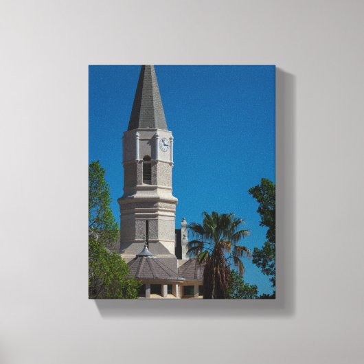 オーロラ南アフリカSAアーキテクチャ自然 キャンバスプリント (正面)