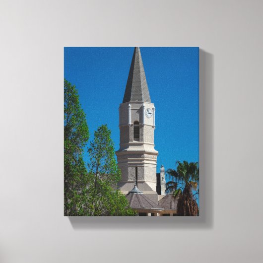 オーロラ南アフリカSAアーキテクチャ自然 キャンバスプリント (正面)