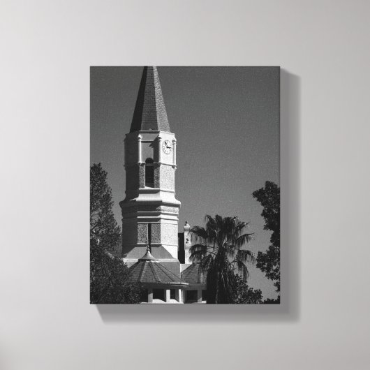 オーロラ南アフリカSAアーキテクチャ自然 キャンバスプリント (正面)