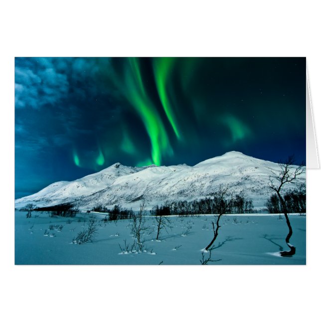 オーロラ (正面横)