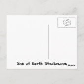 オーロラ ポストカード (裏面)