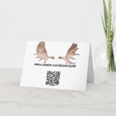 オーロラBorealis シーズンカード (裏面)