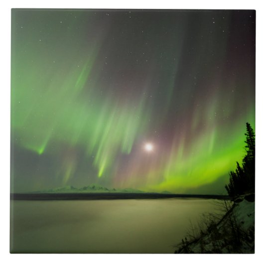 オーロ威厳のあるラ タイル (正面)