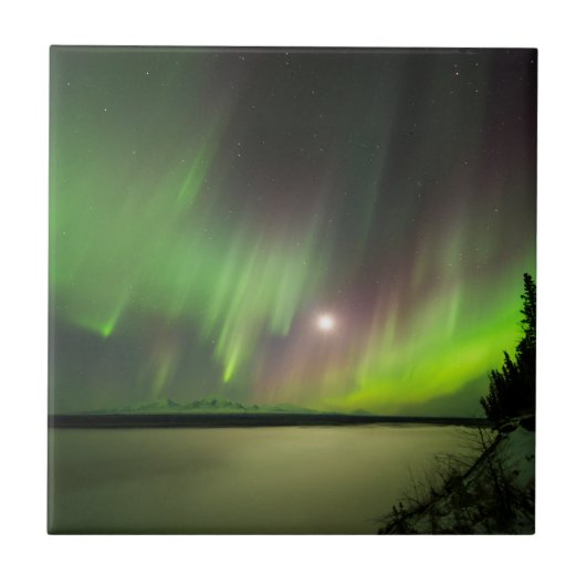 オーロ威厳のあるラ タイル (正面)