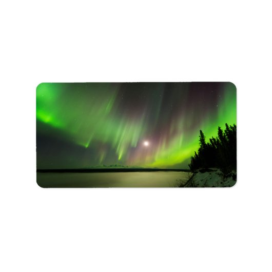 オーロ威厳のあるラ ラベル (正面)