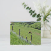 オーヴェルニュの木の谷 ポストカード (スタンド正面)