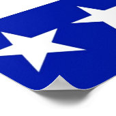 オ実在バマ・バイデン氏・ポスターの変更 ポスター (角)