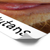 オ救ラングタンと熱帯雨林 ポスター (角)