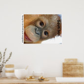 オ救ラングタンと熱帯雨林 ポスター (キッチン)