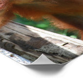 オ救ラングタンボルネオ野生生物 ポスター (角)