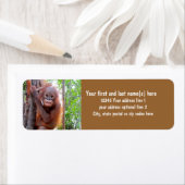 オ救ラングベビーウツフ ラベル (インサイチュ)