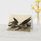 オ素晴らしードボンのアメリカバードから来た足のタカ カード (黄色い花)