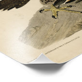 オ素晴らしードボンのアメリカバードから来た足のタカ フォトプリント            (角)