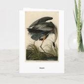 オ素晴らしードボンのアメリカ鳥のブルーヘロン カード (裏面)