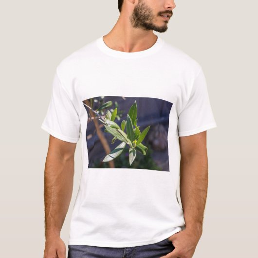 オ葉リーブの木 Tシャツ (正面)
