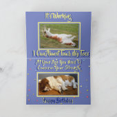 カおもしろいウトバセットハウンド付きエクササイズ誕生日カード カード (内部)