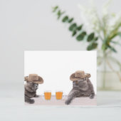カおもしろいウボーイ猫 ポストカード (スタンド正面)
