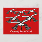 カおもしろいスが飛んでいる来来た ポストカード (正面)